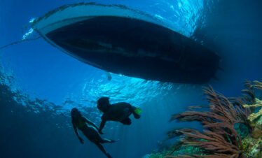 Romantic Island Getaway with Caribbean Crusing