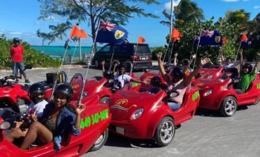 Love Buggy Island Tour
